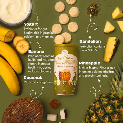 Pawfect Yogurt Melties Freeze Dried Pre and Probiotic Dog Treats with Pineapple, Coconut, Banana, Dandelion - Healthy Gut - Low Calories - Grain & Gluten Free - Reward or Training Treats (38g/1.34oz)