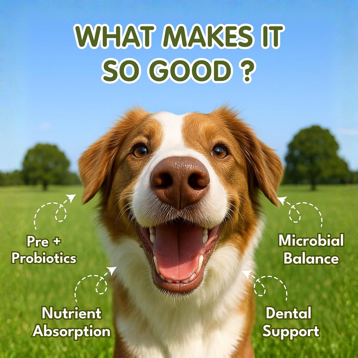 Petroyale Oral Probiotics for Dogs -9B+ CFU Dog Dental Powder for Plaque & Tartar Removal - Fresh Breath, Gum Health & Oral Care Support - Dental Powder for Dogs | 100g