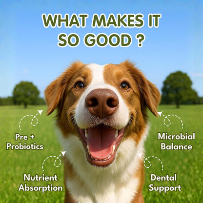 Petroyale Oral Probiotics for Dogs -9B+ CFU Dog Dental Powder for Plaque & Tartar Removal - Fresh Breath, Gum Health & Oral Care Support - Dental Powder for Dogs | 100g