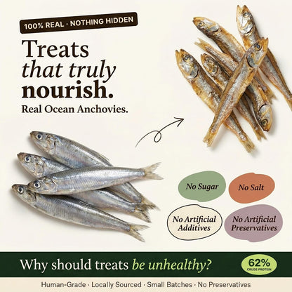 Whisker and Wilde Dehydrated Anchovies | Cat Treats | Natural Taurine & Omega-3 | Heart Health & Silky Coat | Training and Reward | Dental Chew | Human-Grade | No Preservatives | 70g