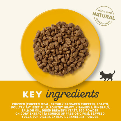 Applaws Complete Natural and Grain Free Dry Kitten Food, Chicken, 400g (Pack of 1)