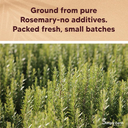 Simply Earth Rosemary Dried Leaves Powder For Hair Growth | Top Grade Leaves Rosemary Herb Tea | Organic | Natural Foods - 100 GM