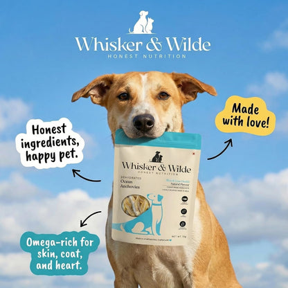 Whisker and Wilde Dehydrated Anchovies | Dog Treats | Omega-3 Rich | Skin, Coat & Joint Health | Training and Reward | Human-Grade | No Preservatives | 70g