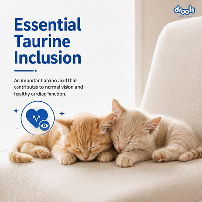 Drools Kitten Dry Cat Food 1.2kg | Ocean Fish Flavour | Promotes Soft Skin & Shiny Coat | Complete Nutrition | Supports Digestion | Aids Growth Development