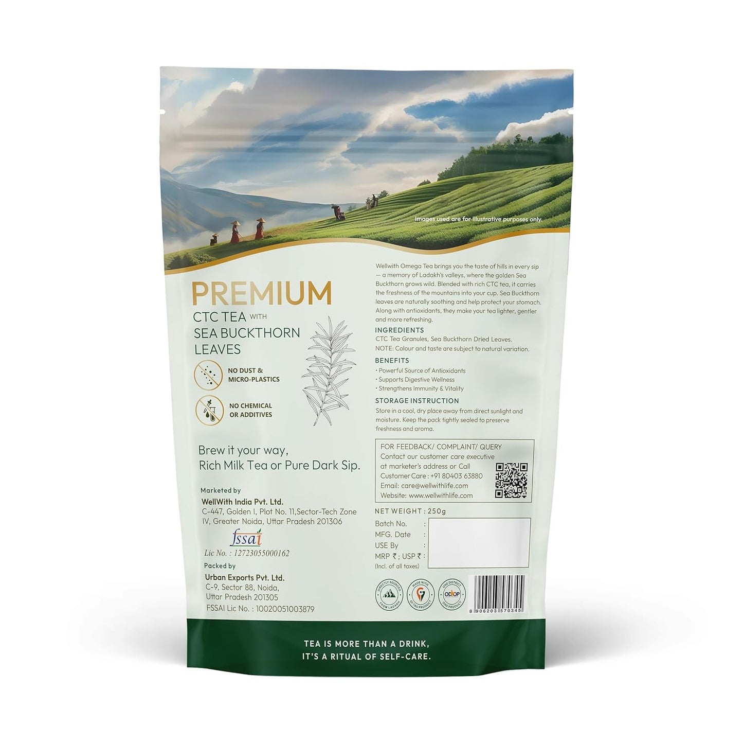 Wellwith Sea Buckthorn Omega CTC Tea 250g | Natural Sea Buckthorn Berry Infused Tea | Wellness and Refreshing Blend (Pack of 1)