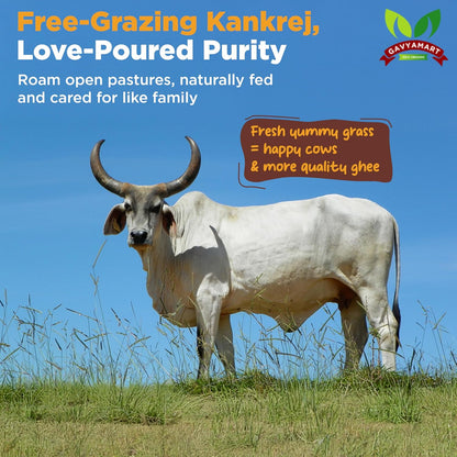 Gavyamart Indian A2 Cow Ghee 100% Pure Non GMO - Made of kankrej Organic Cow Ghee (1L)
