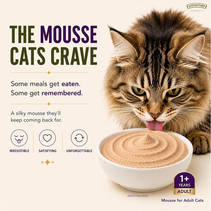 Grain Zero Adult Cat Wet Mousse 80gm | Ocean Fish | Rich in Protein, Promotes Hydration & Easy to Digest | Grain Free, No Artificial Flavours | Packed with Essential Vitamins & Antioxidants