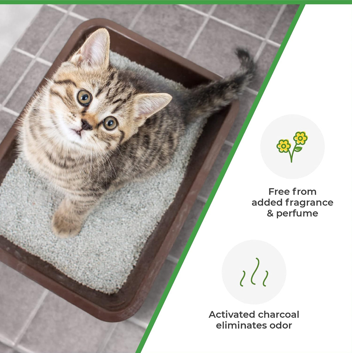 Goofy Tails Cat Litter Activated Charcoal Deodorizer 200g|Cat Litter Accessories for Odour Free Cat Litter Box| Cat Box Odour Eliminator| Ideal Topper for Cat Litter Sand| Cat Litter Box Deodorizer
