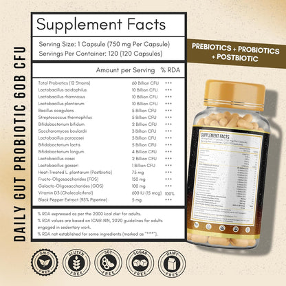 ANUPURAK Gut Health Probiotic 60 Billion CFU — 12 Strains Synbiotic | Postbiotic + FOS & GOS Prebiotics | Supports Digestion, Gut Flora & Immunity | Daily Gut Balance Supplement | 120 Capsules (120 Days)