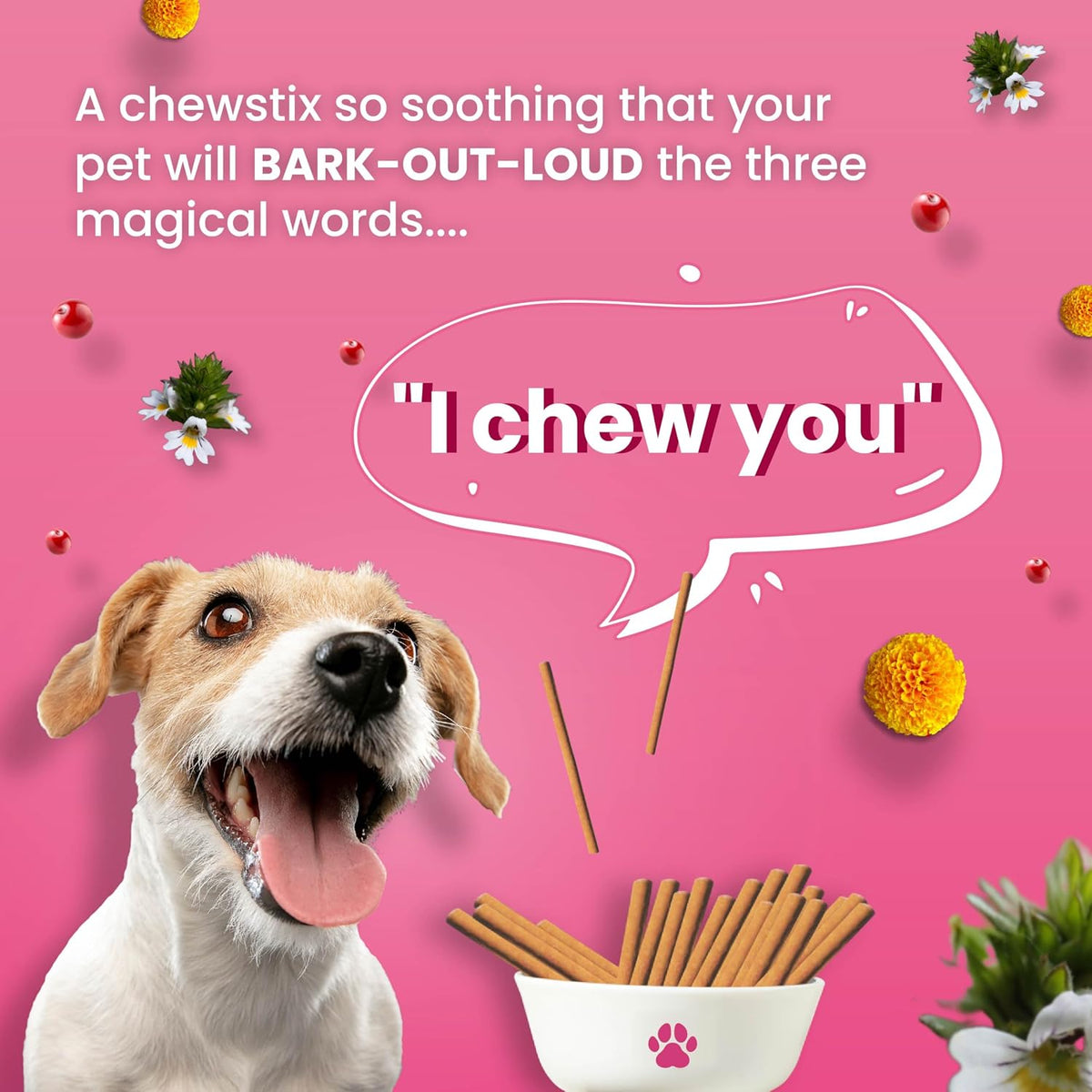 BARK OUT LOUD By Vivaldis - Tear Stains Eyebright Chewstix Stick for All Life Stages Dog | Active Marigold Extract, Rich in Omega FA for Dog, 100 Gm Dog Treats