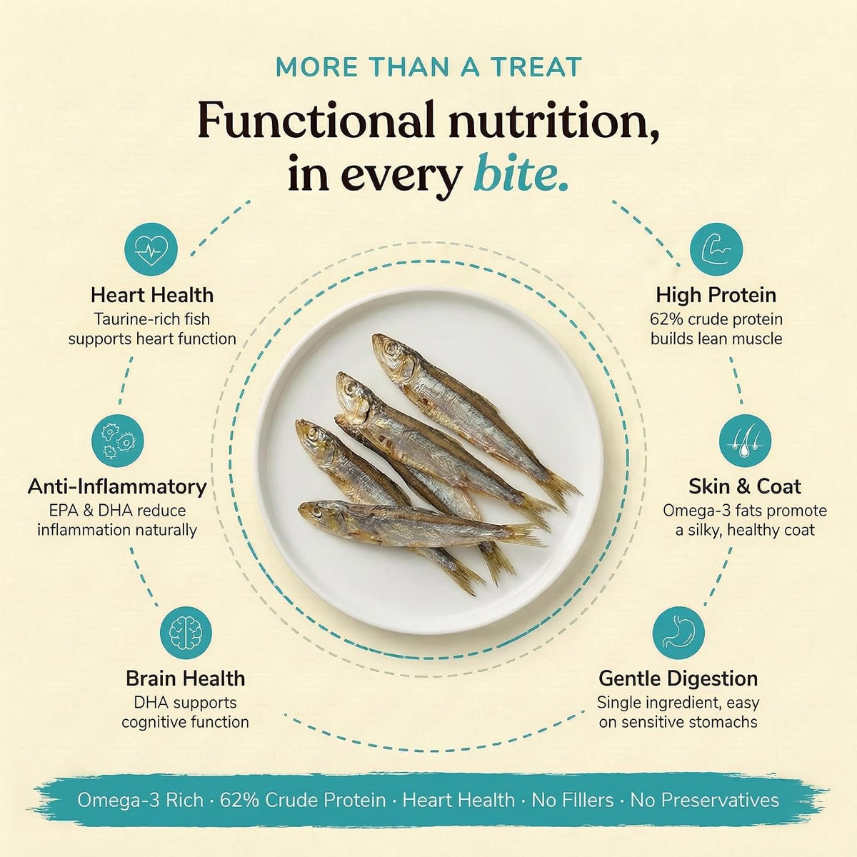Whisker and Wilde Dehydrated Anchovies | Cat Treats | Natural Taurine & Omega-3 | Heart Health & Silky Coat | Training and Reward | Dental Chew | Human-Grade | No Preservatives | 70g