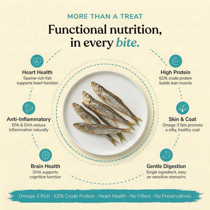 Whisker and Wilde Dehydrated Anchovies | Cat Treats | Natural Taurine & Omega-3 | Heart Health & Silky Coat | Training and Reward | Dental Chew | Human-Grade | No Preservatives | 70g