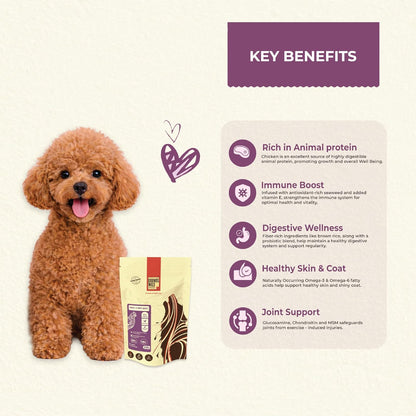 Brunos Small & Mini Breed Adult Dog Food - 250g (Pack of 1) |55% Chicken - Single Animal Protein| Supports Immunity, Vitality, Healthy Skin & Coat I with Salmon Oil
