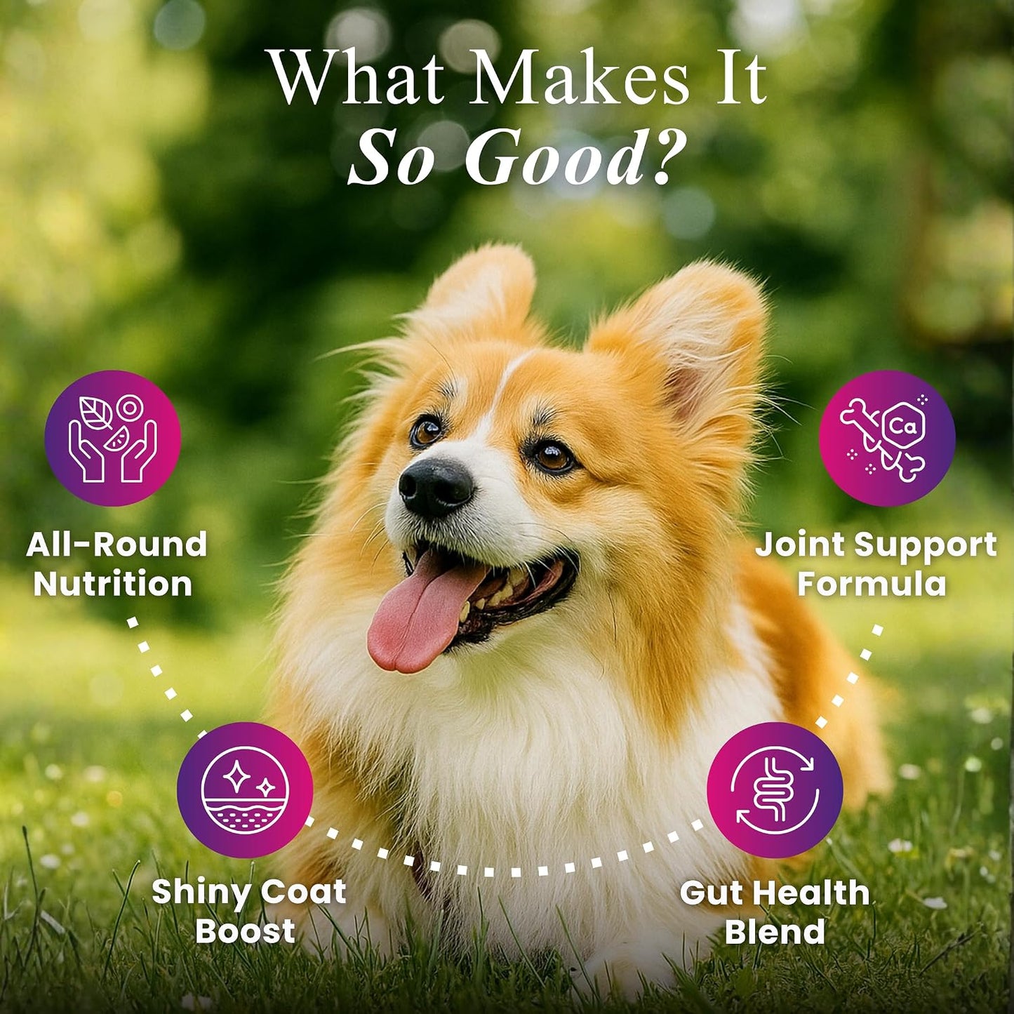 Petroyale Daily One, All-in-One Supplement for Dogs – 25 in 1, Dog Multivitamin, Probiotics, Omega 369, Hip & Joint, Skin & Coat, Gut Health – Soft Chew Dog Everyday Supplement for Dogs (60 Chews)