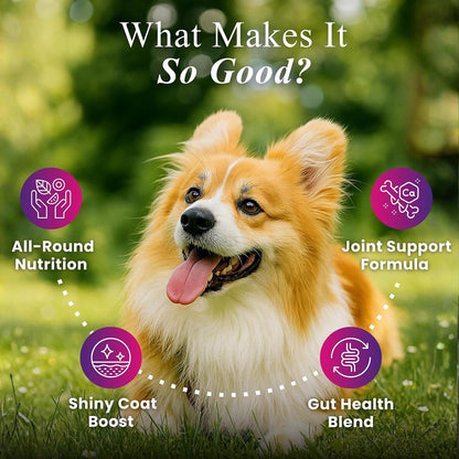 Petroyale Daily One, All-in-One Supplement for Dogs – 25 in 1, Dog Multivitamin, Probiotics, Omega 369, Hip & Joint, Skin & Coat, Gut Health – Soft Chew Dog Everyday Supplement for Dogs (60 Chews)