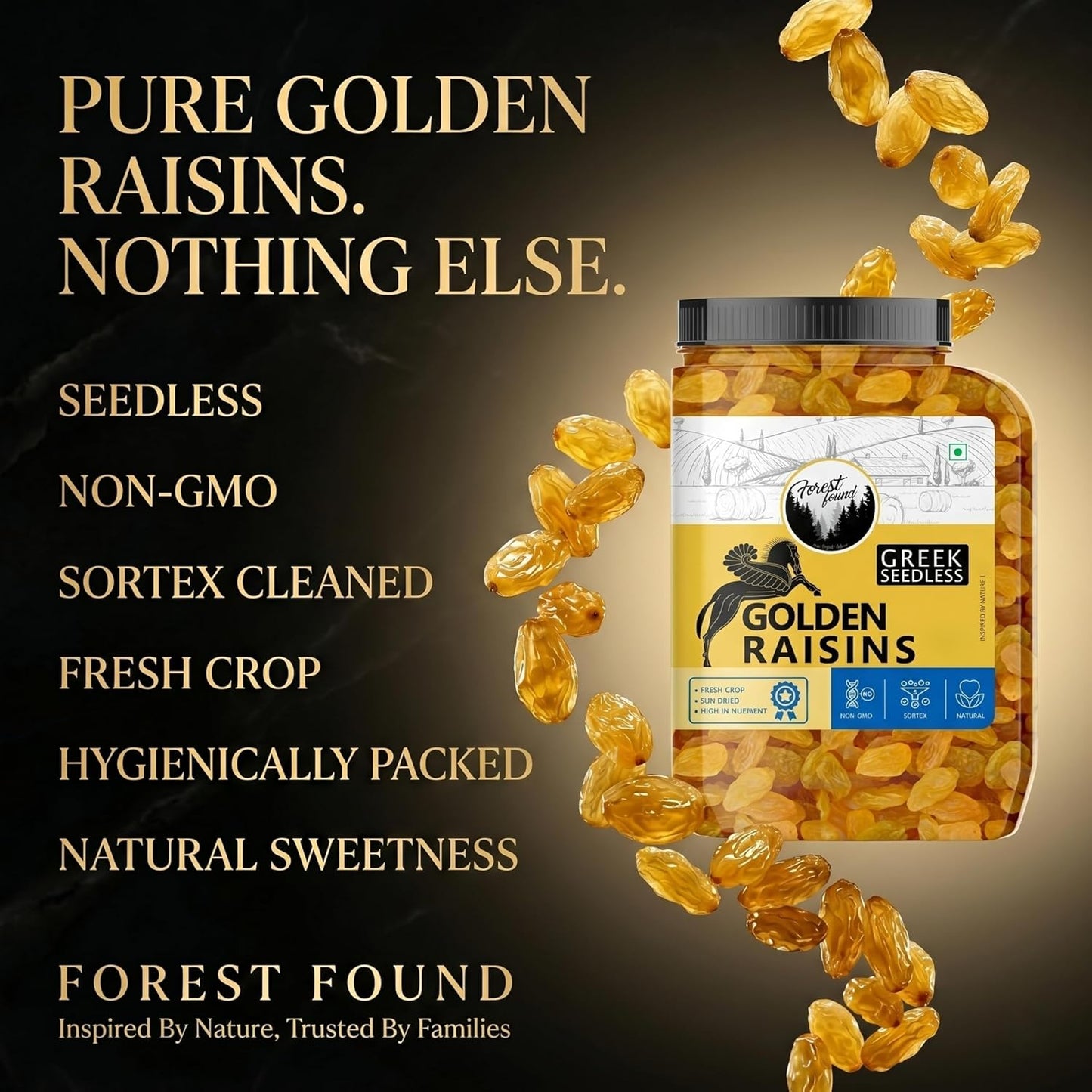 Forest Found Greek Seedless Golden Raisins | Large Golden Kishmish | Natural Dried Grapes for Energy | High Antioxidant Kishmish for Immunity & Skin Health