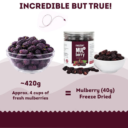 Nectar Superfoods Freeze Dried Mulberry - 40 grams Jar-Pack of 1 Nos | 100% Natural & Pure | No Preservatives, No Sugar Added, Vegan | Ideal for Cooking & Seasoning | Made in India