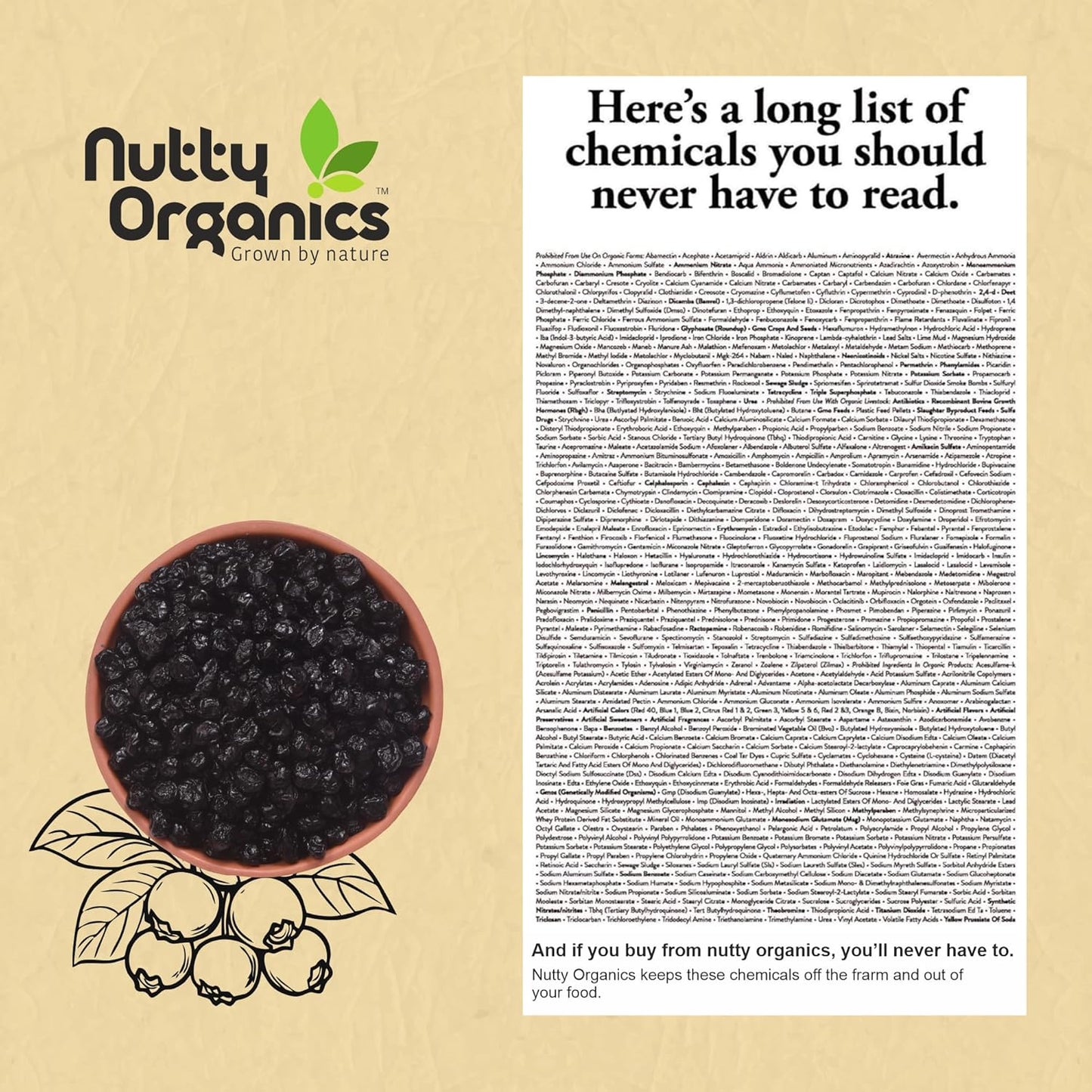 Nutty Organics No Refined Sugar Dried Blueberry, 100Gram, No Additives, 100% Pure & Healthy Snack For All Age (Dried Fruit)