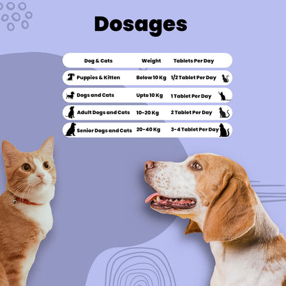 Aniamor Paw Plate + Tablet for Dogs and Cats|Platelet Enhancer Tablets|Pets Supplement|All Life Stage|60 Tablets Bottle