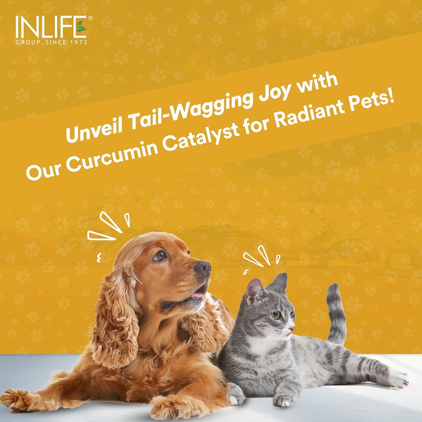 INLIFE Curcumin with Piperine for Dogs Cats and Pets 95% Curcuminoids for Immunity Liver Function and Ease Inflammation- 60 Vegetarian Capsules