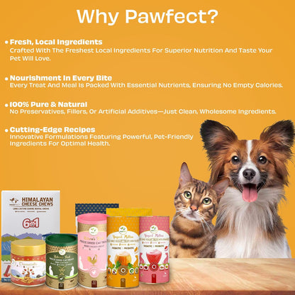 Pawfect Yogurt Melties Freeze Dried Pre and Probiotic Dog Treats with Pumpkin, Beetroot, Cabbage & Fennel Seeds- Healthy Gut- Low Calories- Grain & Gluten Free - Reward or Training Treats (38g/1.34oz)