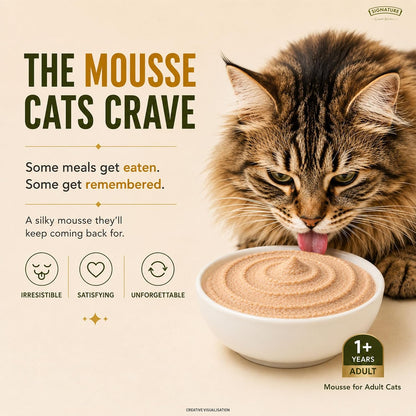 Grain Zero Adult Cat Wet Mousse 80gm | Chicken | Rich in Protein, Promotes Hydration & Easy to Digest | Grain Free, No Artificial Flavours | Packed with Essential Vitamins & Antioxidants