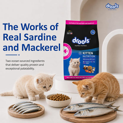Drools Kitten Dry Cat Food 1.2kg | Ocean Fish Flavour | Promotes Soft Skin & Shiny Coat | Complete Nutrition | Supports Digestion | Aids Growth Development