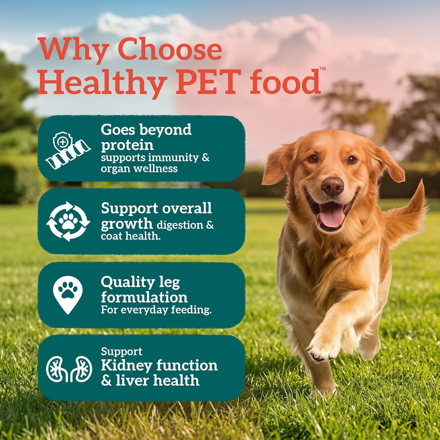 Himalaya Healthy PET Food for Adult Dogs | Chicken & Pumpkin | 1.2kg | Complete & Balanced Nutrition with Mountain Knot Grass, Tree of Heaven, Guduchi & Pumpkin