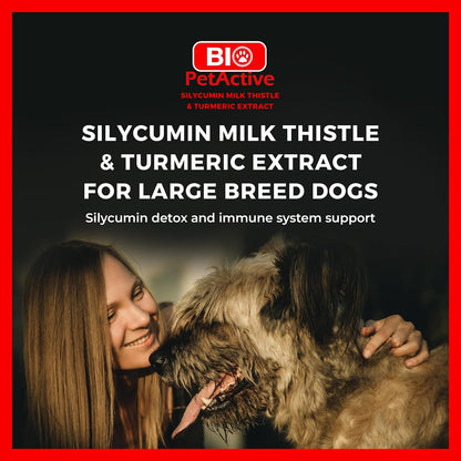 Bio PetActive Silycumin 1,5 g 45 Tablets Milk Thistle & Turmeric Extract Silymarin Curcumin Kidney & Liver Support Suitable for Large Breed Dogs