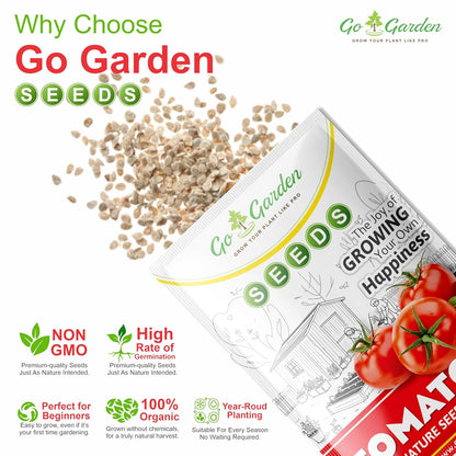 Go Garden Tomato Vegetable Seeds (Red, Pack of 10g, 2000 Seeds) Seeds to grow in Your Home & kitchen garden