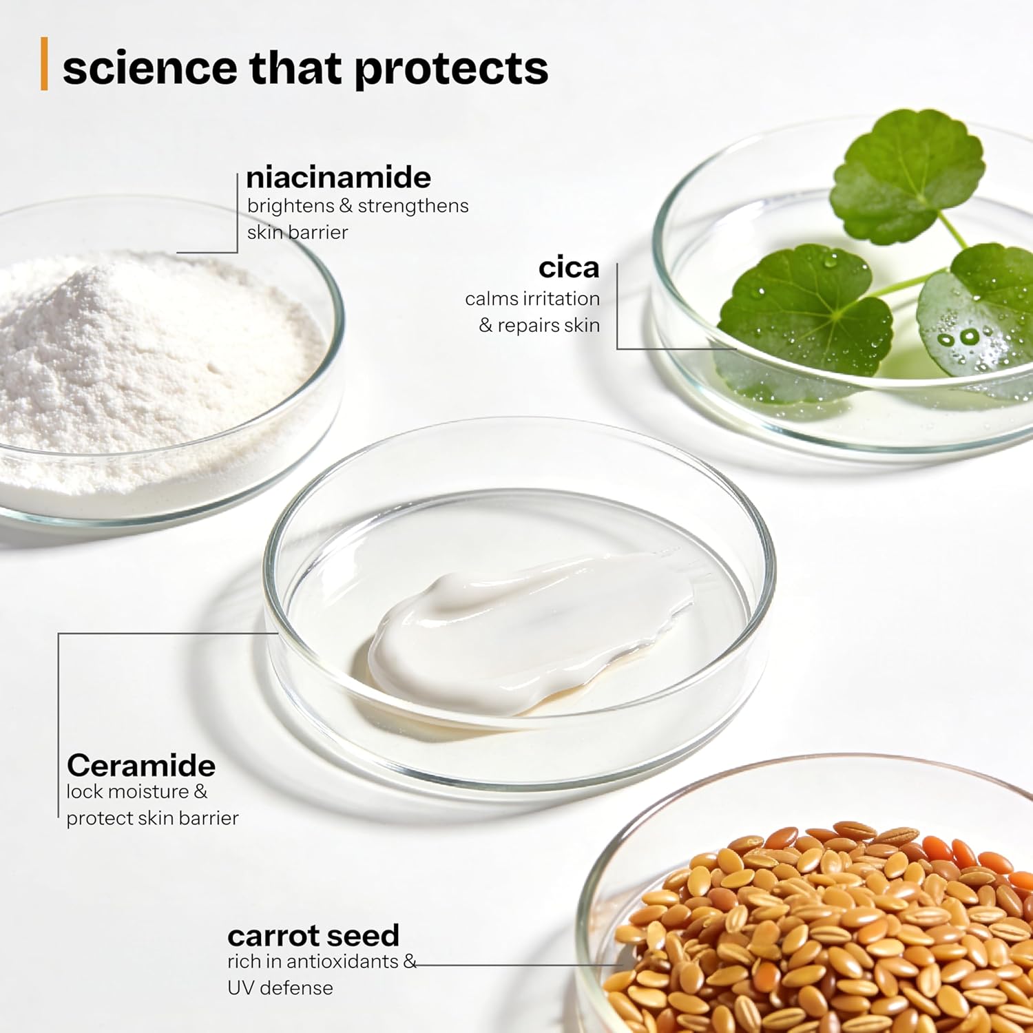 Illustration of skincare ingredients with labels on a white background