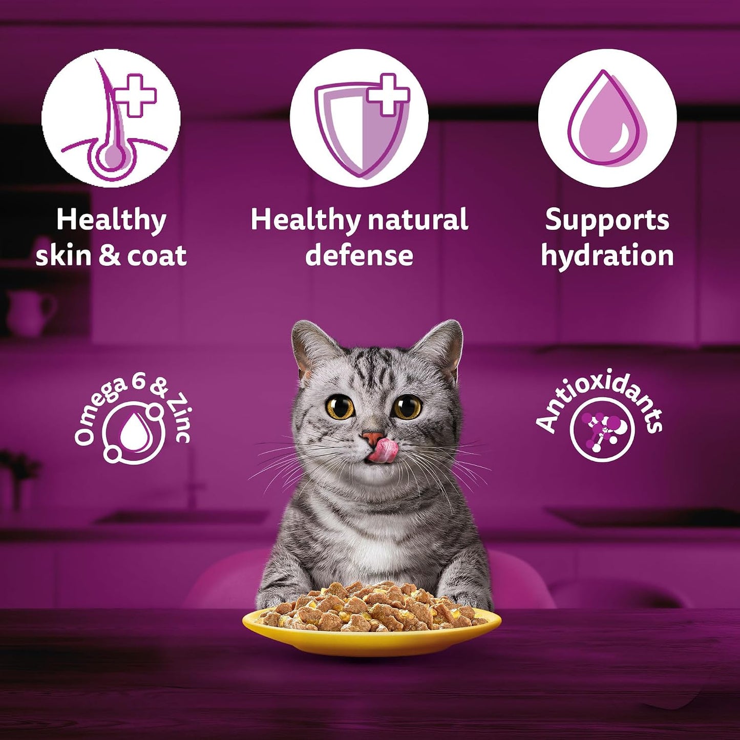 Whiskas Wet Cat Food for Adult Cats (1+Years), Chicken in Gravy Flavour, 80g