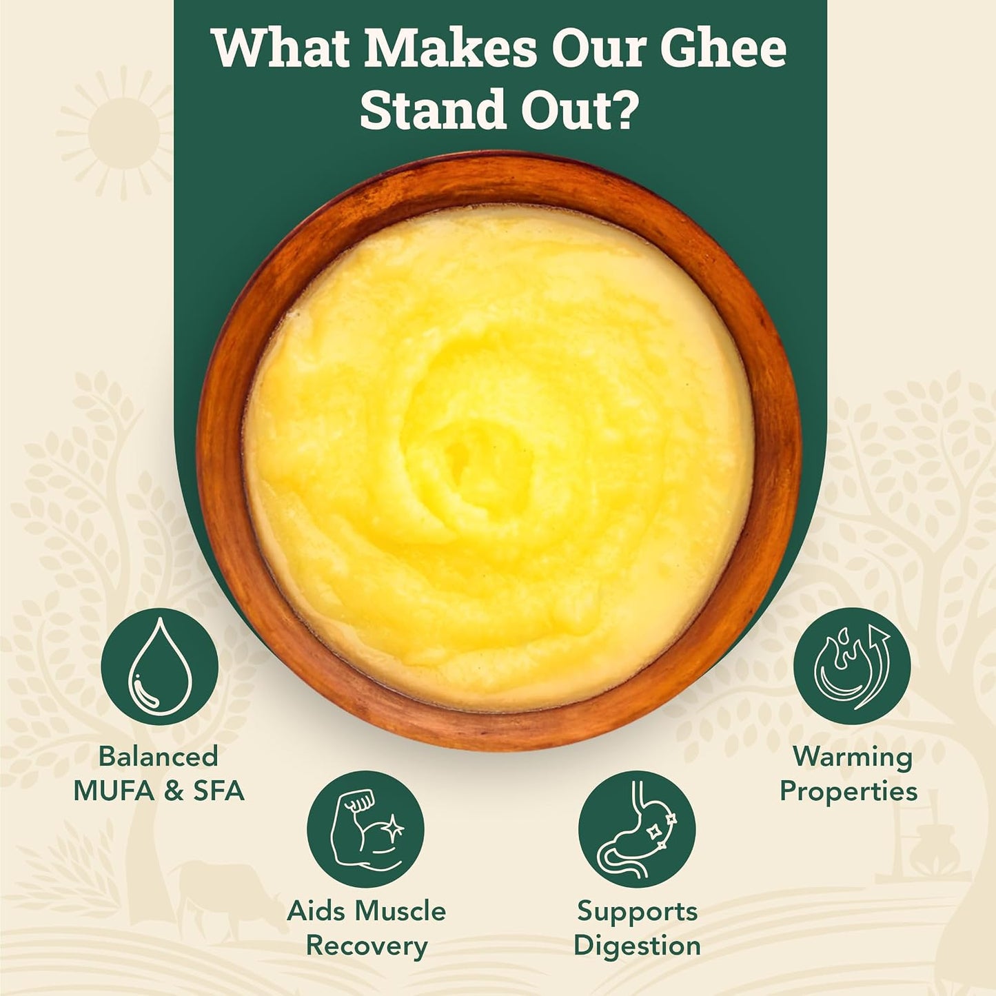 Anveshan A2 Cow Ghee 500ML | Desi Ghee in Glass Jar | Bilona Method | Grass-Fed | Curd-Churned | Cultured Ghee | Pure, Natural, Healthy | Keto-Friendly | Lab Tested