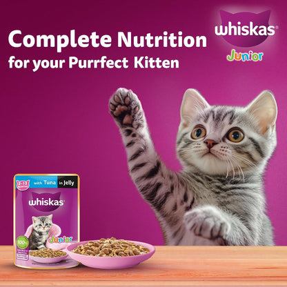 Whiskas Junior Kitten (2-12 Months) Wet Cat Food, Tuna in Jelly, 80 g, Hydrating Food Made With Real Fish, 100% Complete & Balanced Nutrition for Kittens