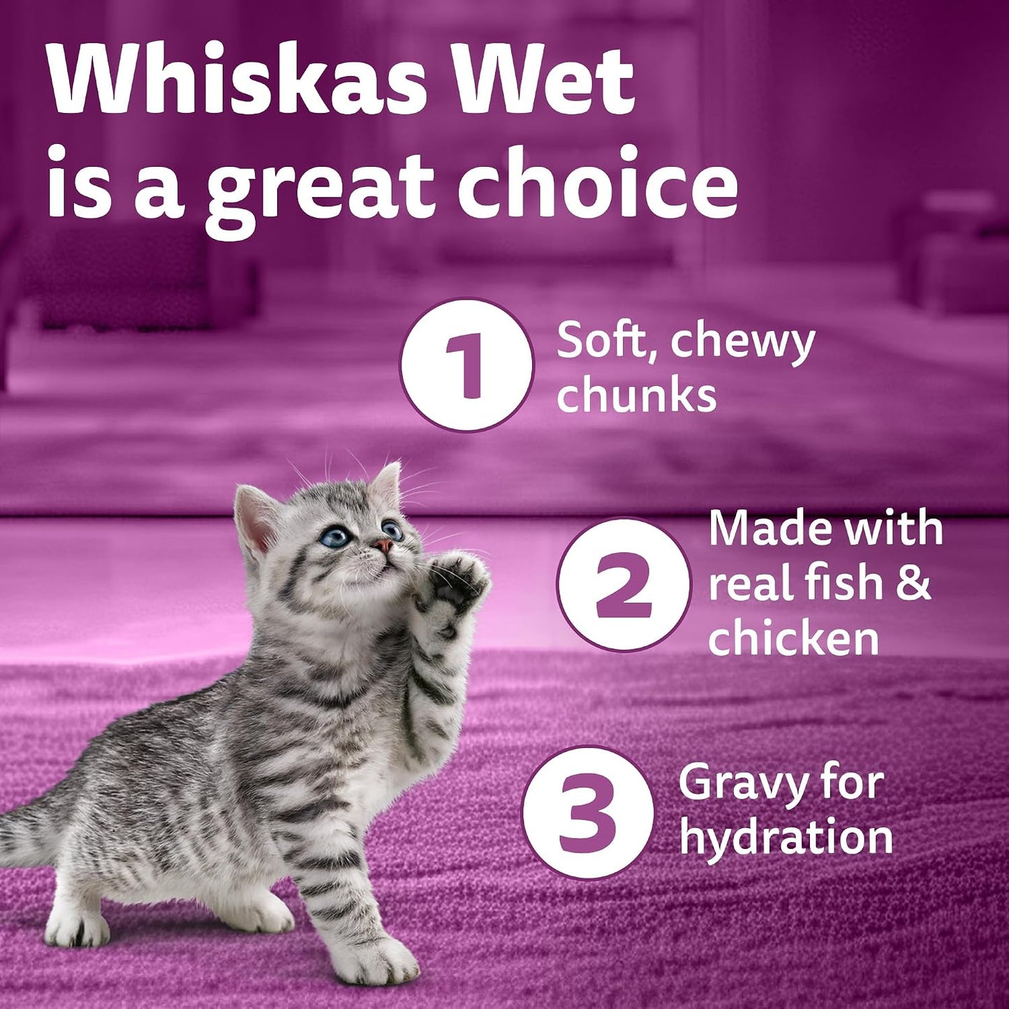 Whiskas Junior Kitten (2-12 Months) Wet Cat Food, Chicken with Salmon in Jelly, 80 g, Hydrating Food Made with Real Fish, 100% Complete & Balanced Nutrition for Kittens