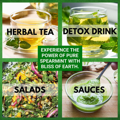 Bliss of Earth Spearmint Tea For PCOS Relief 100g, Premium Egyptian Sun Dried Spearmint Leaves, Mint Herbal Tea for Hot & Cold Brew