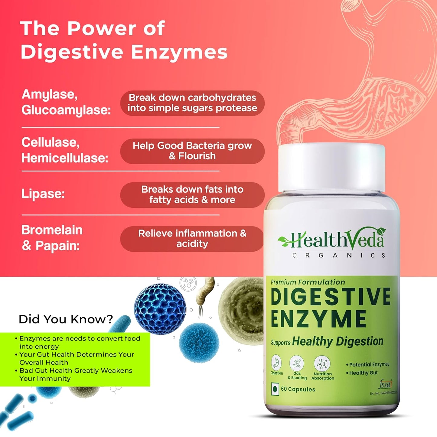 Zephivo Health Veda Organics Digestive Enzyme Capsules | For Better Digestive Function, Healthy Gut, & Health Management | 60 Veg Capsules for both Men & Women…