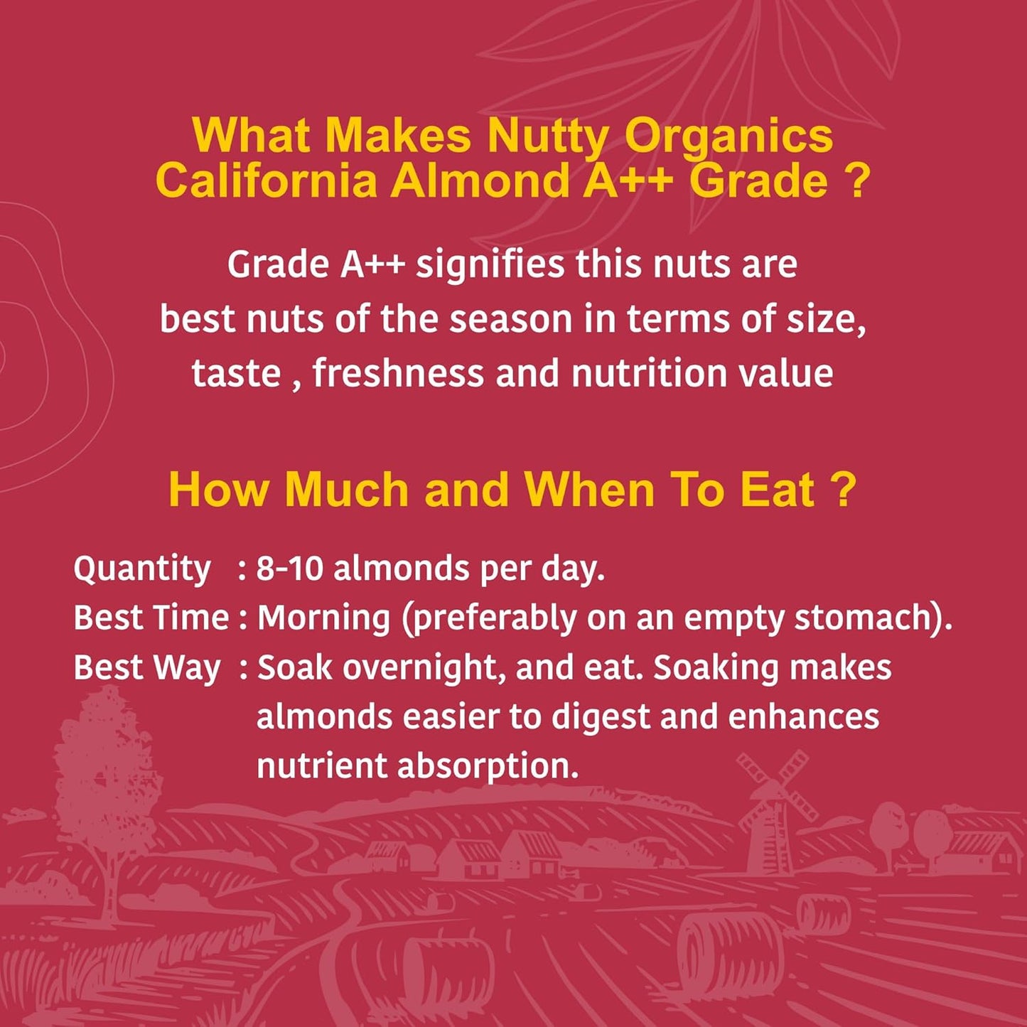Nutty Organics California Almonds| Hand Selected Jumbo | Tasty & Healthy | High in Protein & Dietary Fiber | Nutritious | Healthy Dry Fruit