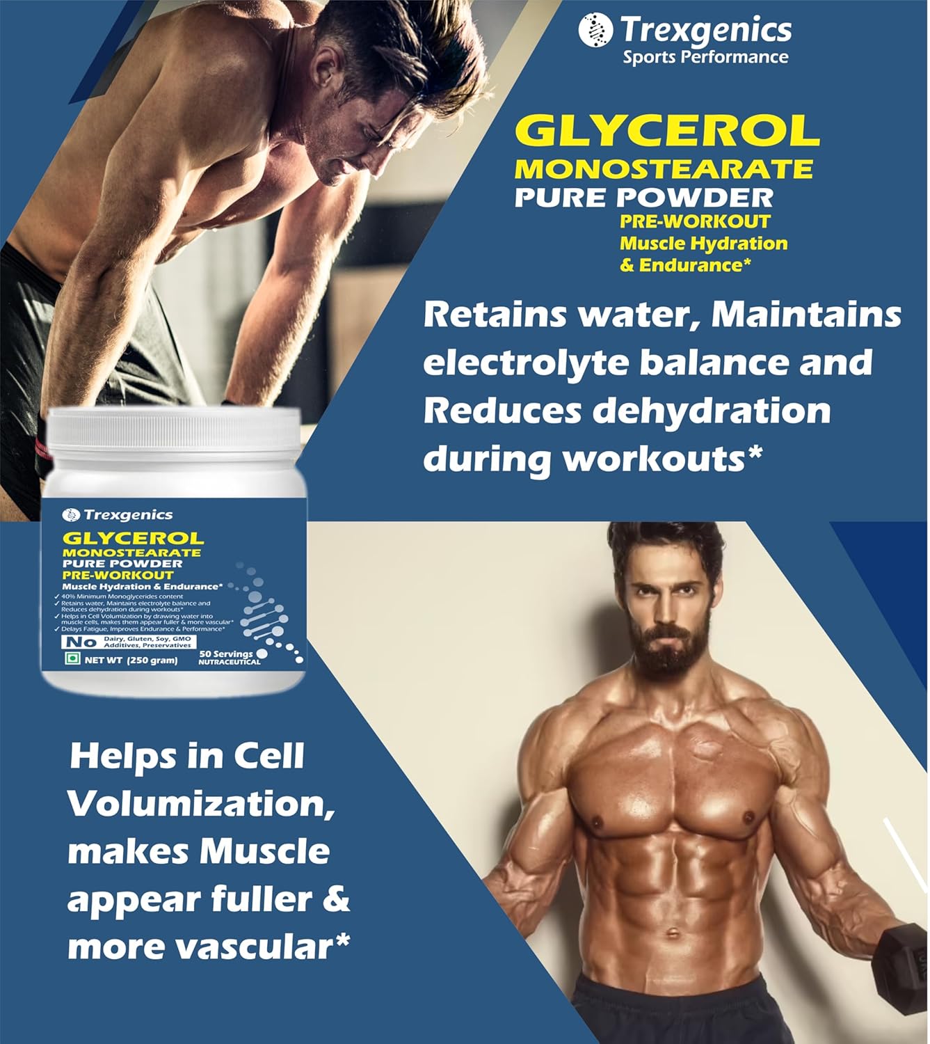 Trexgenics GLYCEROL MONOSTEARATE GMS Pure & Premium Powder Pre-Workout, > 40% Monoglycerides content 50 servings (250 gram)