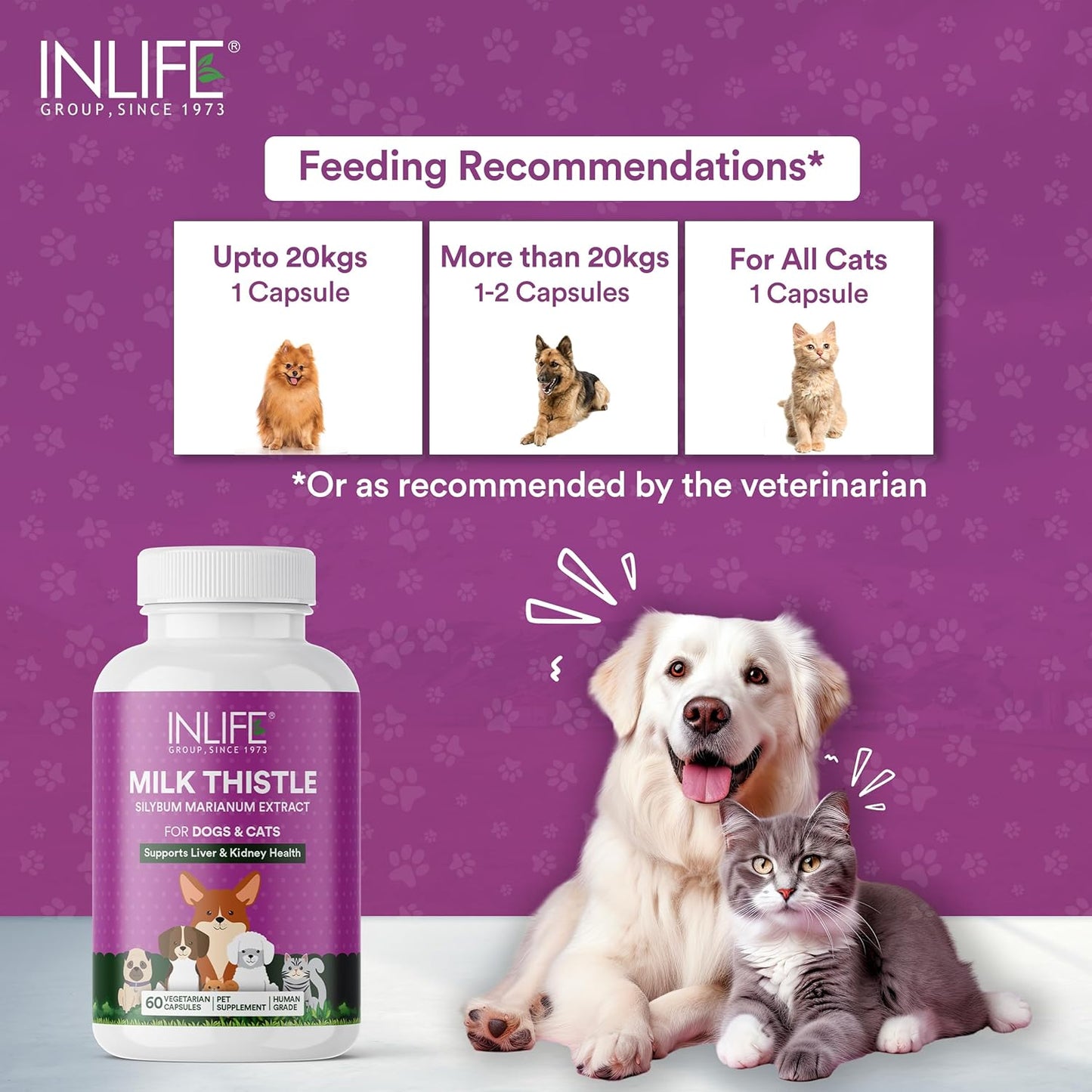 INLIFE Milk Thistle Capsules for Dogs & Cats | Liver Detox Supplement & Kidney Health, 400mg - 60 Vegetarian Capsules