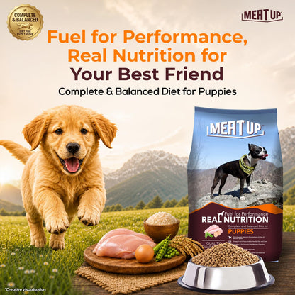 Meat Up Puppy Dry Dog Food, 1.2 kg Pack