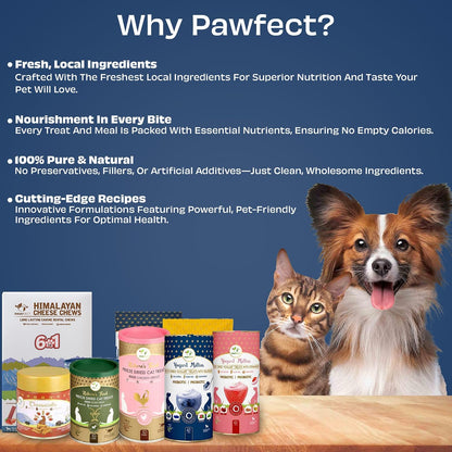 Pawfect Yogurt Melties Freeze Dried Pre and Probiotic Dog Treats with Blueberry, Cranberry, Blue Spirulina & Mint - Healthy Gut - Low Calories - Grain & Gluten Free - Training Treats (38g/1.34oz)