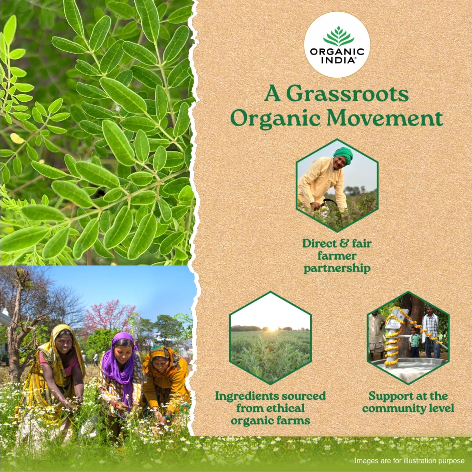 Promotional graphic for Organic India featuring green leaves and images of farmers, with the brand's logo and text about their organic movement.