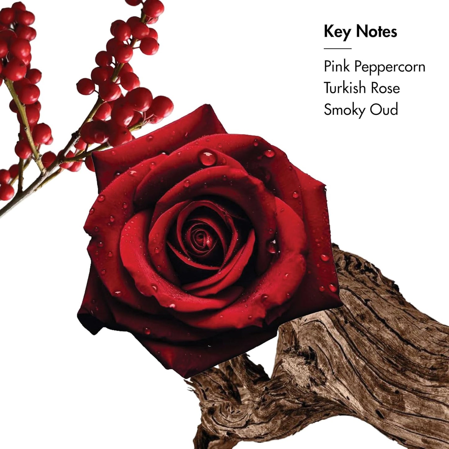 Red rose with water droplets on a branch against a white background, with text 'Key Notes: Pink Peppercorn, Turkish Rose, Smoky Oud'.
