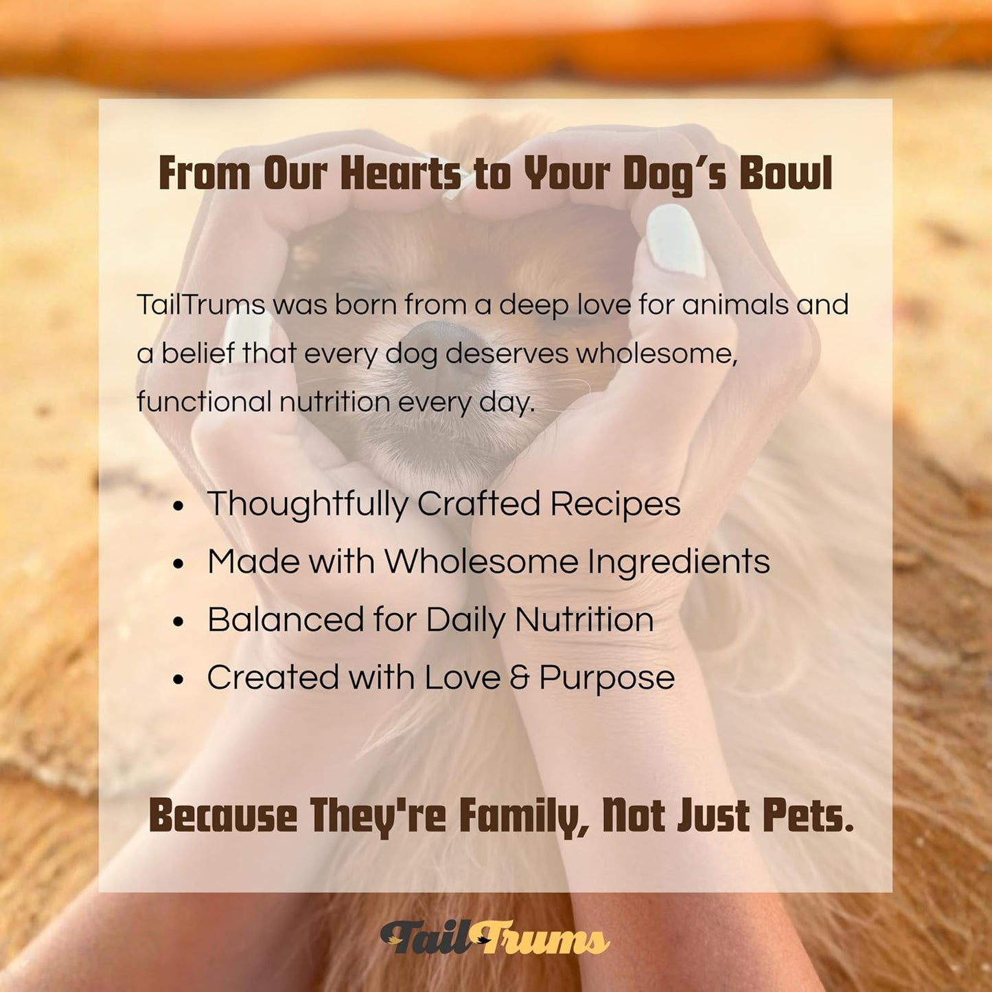 TailTrums Dog Biscuits – Carrot & Pumpkin Cookies (250g) | Healthy Dog Food | All Breeds |