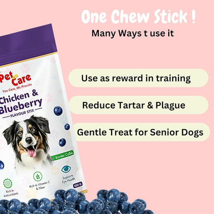 Pet en Care Real Chicken Blue Berry Sticks for Dogs, Natural and Nutritional Treat | High in Proteins | Healthy Snacks for All Breed Dogs