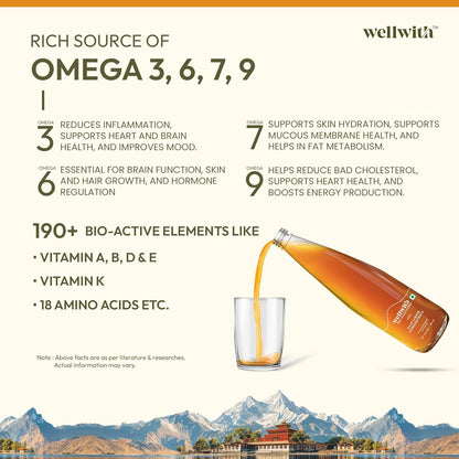 Wellwith by Ayuzera Himalayan Sea Buckthorn Pulp 300ml | Cold Pressed Seabuckthorn Juice | Rich in Vitamin C, Omega 3 6 7 9 & Antioxidants | Supports Immunity, Skin & Gut Health