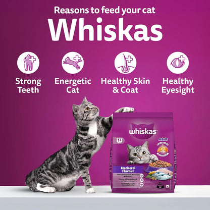 Whiskas Adult (1+ Years) Dry Cat Food, Mackerel Flavour, 480 g, Contains 41 Essential Nutrients, Complete & Balanced Nutrition for Adult Cats
