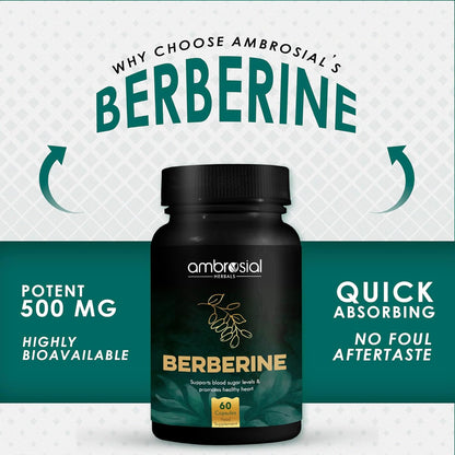 Ambrosial Berberine supplement bottle with promotional text on a white background