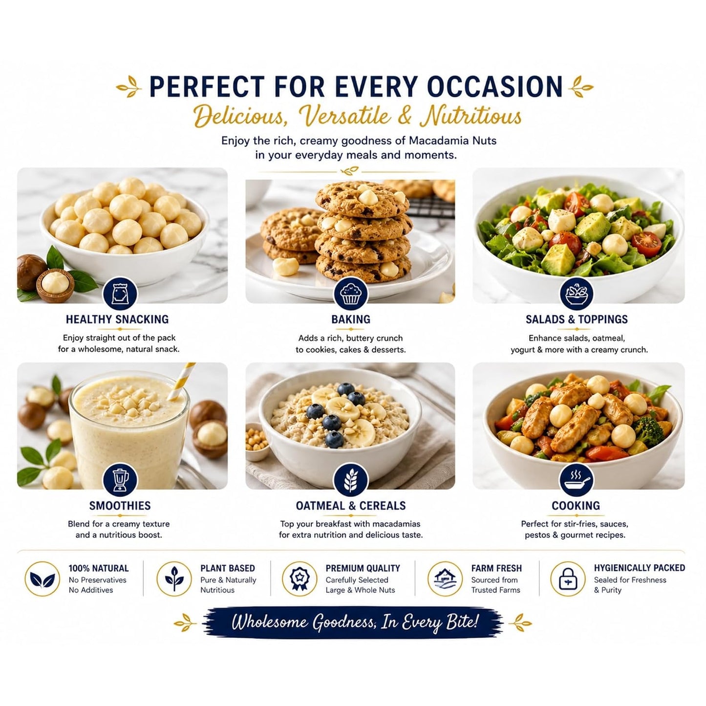 Dry Goods Co. Premium Macadamia Nuts | Jumbo Roasted & Salted Macadamia Kernels | Rich Buttery Taste | Healthy Snack | High in Fiber & Good Fats | Ready to Eat Gourmet Dry Fruits
